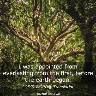 Picture 03 - Proverbs 8:23 GW - I was appointed from everlasting from the first, - Bible Verse Picture