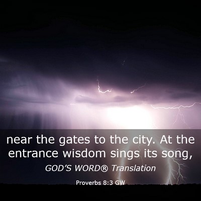 Picture 03 - Proverbs 8:3 GW - near the gates to the city. At the entrance - Bible Verse Picture