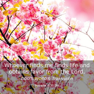 Picture 03 - Proverbs 8:35 GW - Whoever finds me finds life and obtains favor - Bible Verse Picture