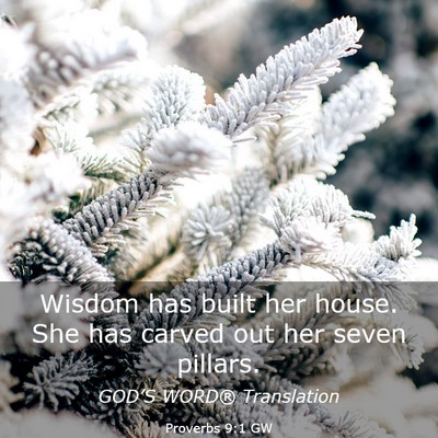 Picture 03 - Proverbs 9:1 GW - Wisdom has built her house. She has carved out - Bible Verse Picture