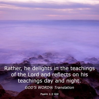 Picture 03 - Psalm 1:2 GW - Rather, he delights in the teachings of the Lord - Bible Verse Picture