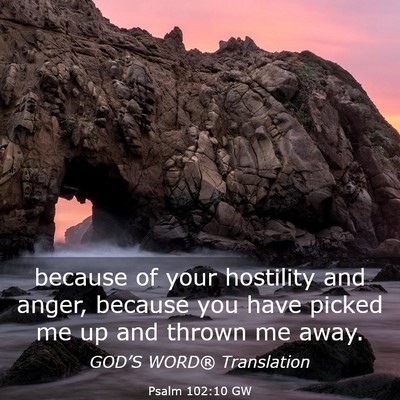 Picture 03 - Psalm 102:10 GW - because of your hostility and anger, because you - Bible Verse Picture