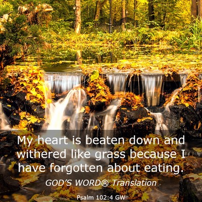 Picture 03 - Psalm 102:4 GW - My heart is beaten down and withered like grass - Bible Verse Picture