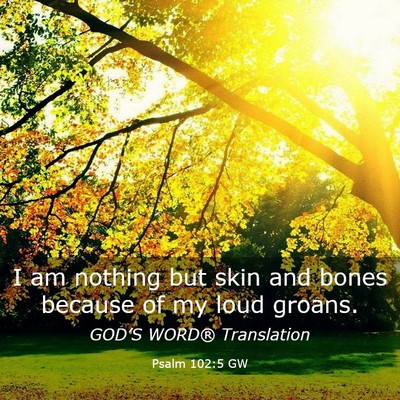 Picture 03 - Psalm 102:5 GW - I am nothing but skin and bones because of my - Bible Verse Picture