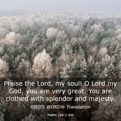 Picture 03 - Psalm 104:1 GW - Praise the Lord, my soul! O Lord my God, you are - Bible Verse Picture