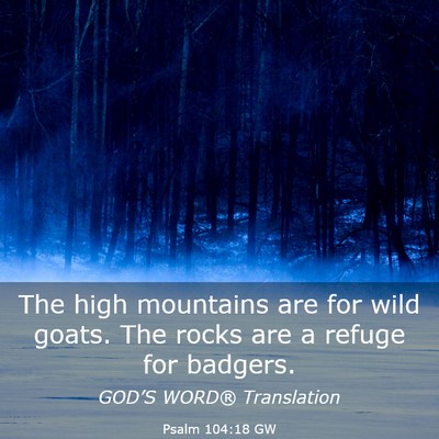 Picture 03 - Psalm 104:18 GW - The high mountains are for wild goats. The rocks - Bible Verse Picture