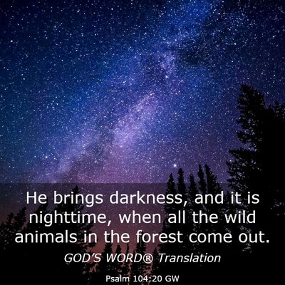 Picture 03 - Psalm 104:20 GW - He brings darkness, and it is nighttime, when all - Bible Verse Picture