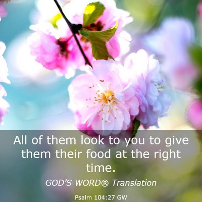Picture 03 - Psalm 104:27 GW - All of them look to you to give them their food - Bible Verse Picture
