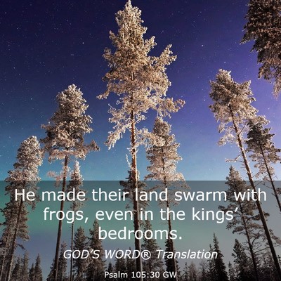 Picture 03 - Psalm 105:30 GW - He made their land swarm with frogs, even in the - Bible Verse Picture