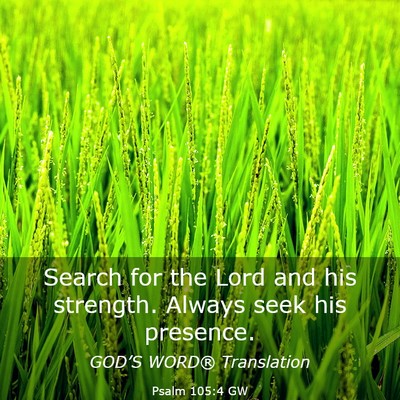 Picture 03 - Psalm 105:4 GW - Search for the Lord and his strength. Always seek - Bible Verse Picture