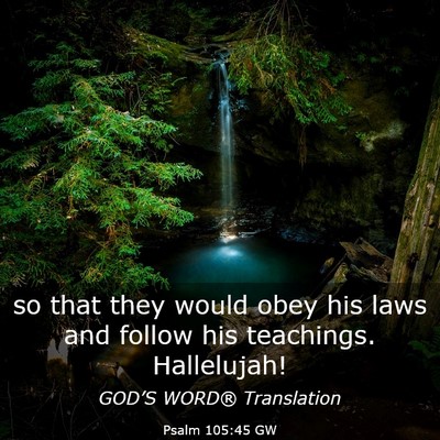 Picture 03 - Psalm 105:45 GW - so that they would obey his laws and follow his - Bible Verse Picture