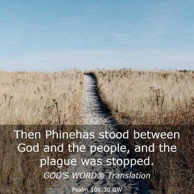 Picture 03 - Psalm 106:30 GW - Then Phinehas stood between God and the people, - Bible Verse Picture