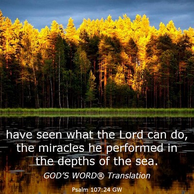 Picture 03 - Psalm 107:24 GW - have seen what the Lord can do, the miracles he - Bible Verse Picture