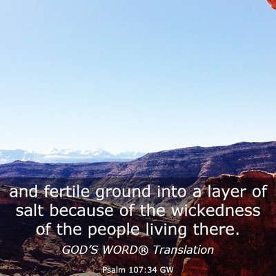 Picture 03 - Psalm 107:34 GW - and fertile ground into a layer of salt because - Bible Verse Picture