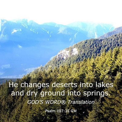Picture 03 - Psalm 107:35 GW - He changes deserts into lakes and dry ground into - Bible Verse Picture