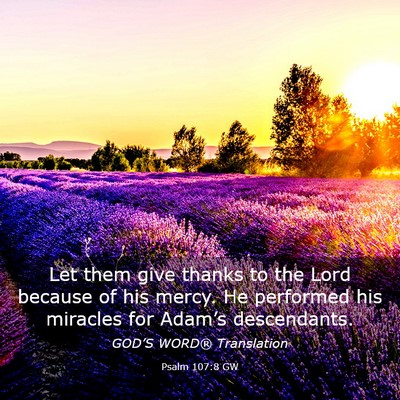 Picture 03 - Psalm 107:8 GW - Let them give thanks to the Lord because of his - Bible Verse Picture