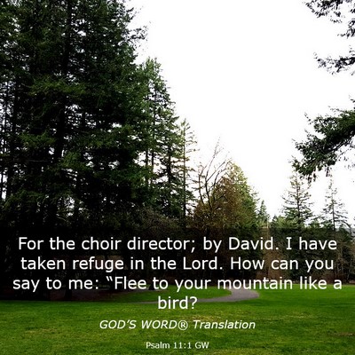 Picture 03 - Psalm 11:1 GW - For the choir director; by David. I have taken - Bible Verse Picture