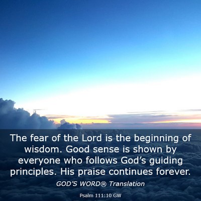 Picture 03 - Psalm 111:10 GW - The fear of the Lord is the beginning of wisdom. - Bible Verse Picture