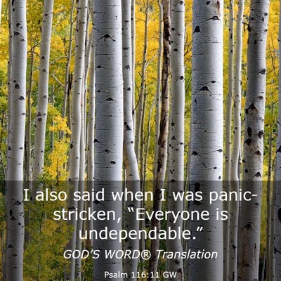 Picture 03 - Psalm 116:11 GW - I also said when I was panic-stricken, - Bible Verse Picture