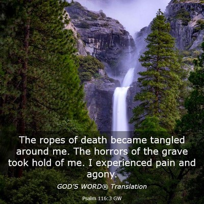 Picture 03 - Psalm 116:3 GW - The ropes of death became tangled around me. The - Bible Verse Picture