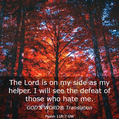 Picture 03 - Psalm 118:7 GW - The Lord is on my side as my helper. I will see - Bible Verse Picture