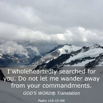 Picture 03 - Psalm 119:10 GW - I wholeheartedly searched for you. Do not let me - Bible Verse Picture