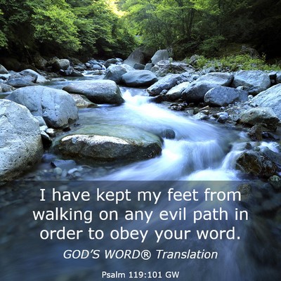 Picture 03 - Psalm 119:101 GW - I have kept my feet from walking on any evil path - Bible Verse Picture