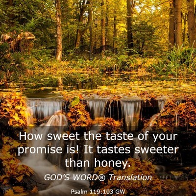 Picture 03 - Psalm 119:103 GW - How sweet the taste of your promise is! It tastes - Bible Verse Picture