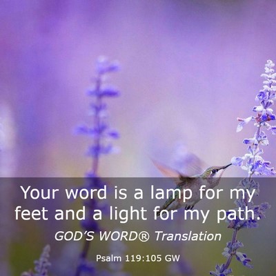 Picture 03 - Psalm 119:105 GW - Your word is a lamp for my feet and a light for - Bible Verse Picture