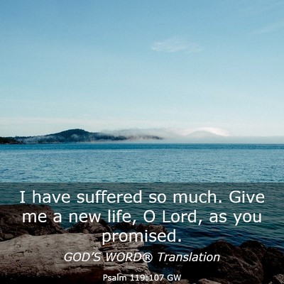 Picture 03 - Psalm 119:107 GW - I have suffered so much. Give me a new life, O - Bible Verse Picture