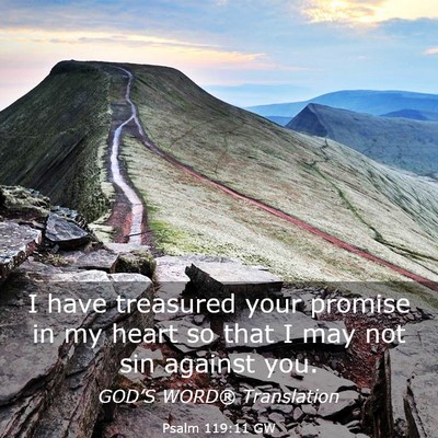 Picture 03 - Psalm 119:11 GW - I have treasured your promise in my heart so that - Bible Verse Picture