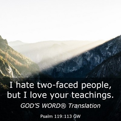 Picture 03 - Psalm 119:113 GW - I hate two-faced people, but I love your - Bible Verse Picture