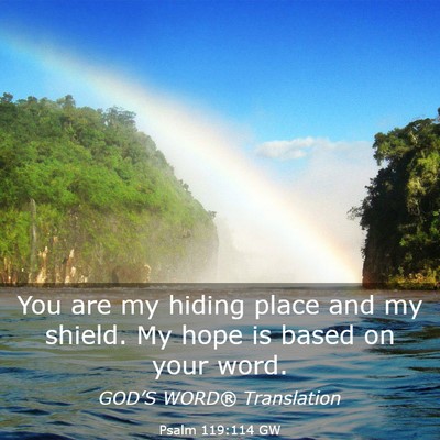 Picture 03 - Psalm 119:114 GW - You are my hiding place and my shield. My hope is - Bible Verse Picture