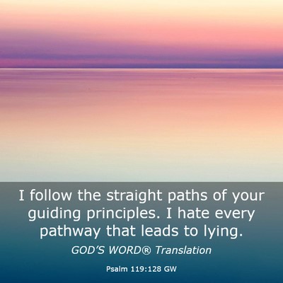 Picture 03 - Psalm 119:128 GW - I follow the straight paths of your guiding - Bible Verse Picture