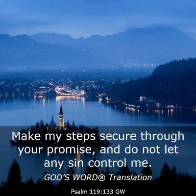Picture 03 - Psalm 119:133 GW - Make my steps secure through your promise, and do - Bible Verse Picture