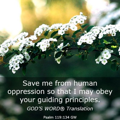 Picture 03 - Psalm 119:134 GW - Save me from human oppression so that I may obey - Bible Verse Picture