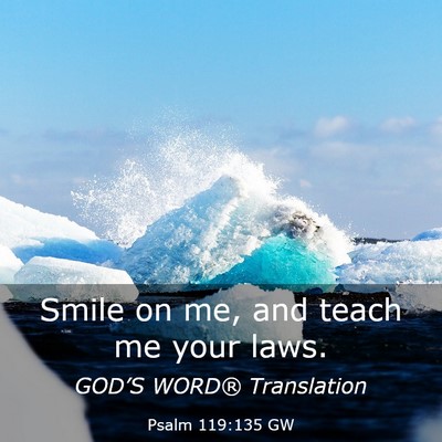 Picture 03 - Psalm 119:135 GW - Smile on me, and teach me your - Bible Verse Picture