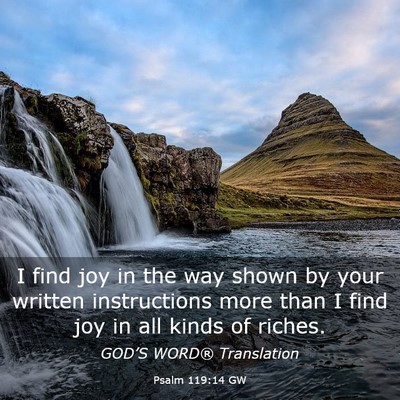 Picture 03 - Psalm 119:14 GW - I find joy in the way shown by your written - Bible Verse Picture