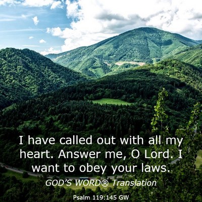 Picture 03 - Psalm 119:145 GW - I have called out with all my heart. Answer me, O - Bible Verse Picture