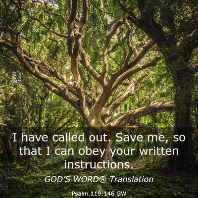 Picture 03 - Psalm 119:146 GW - I have called out. Save me, so that I can obey - Bible Verse Picture
