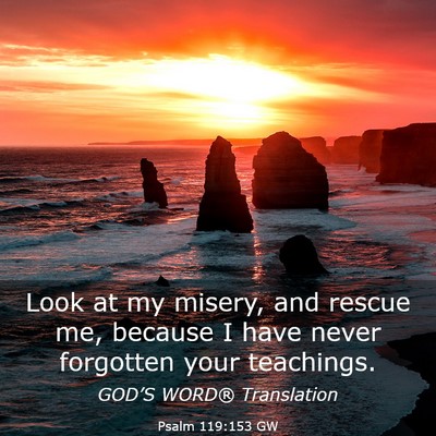 Picture 03 - Psalm 119:153 GW - Look at my misery, and rescue me, because I have - Bible Verse Picture