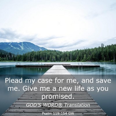 Picture 03 - Psalm 119:154 GW - Plead my case for me, and save me. Give me a new - Bible Verse Picture
