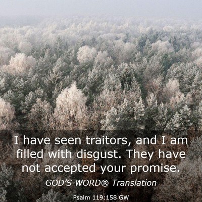 Picture 03 - Psalm 119:158 GW - I have seen traitors, and I am filled with - Bible Verse Picture
