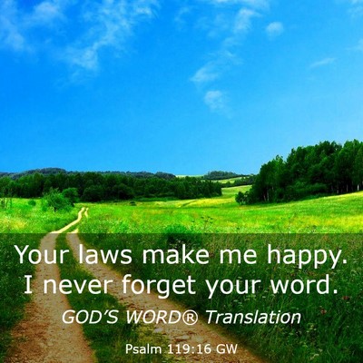 Picture 03 - Psalm 119:16 GW - Your laws make me happy. I never forget your - Bible Verse Picture