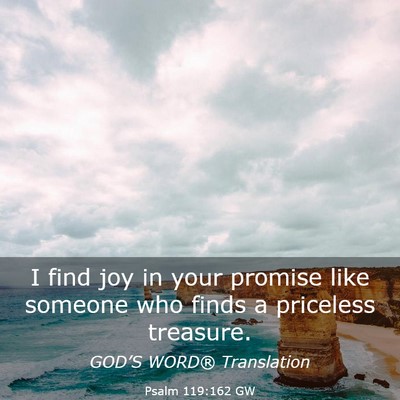 Picture 03 - Psalm 119:162 GW - I find joy in your promise like someone who finds - Bible Verse Picture