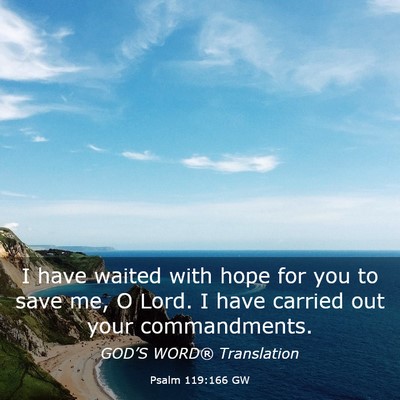 Picture 03 - Psalm 119:166 GW - I have waited with hope for you to save me, O - Bible Verse Picture