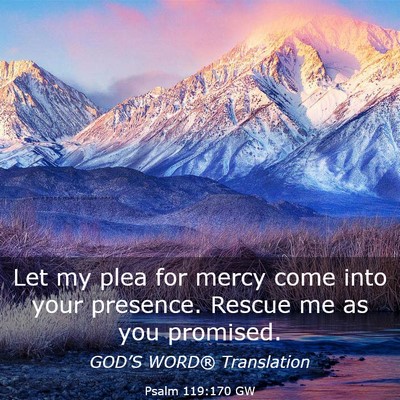 Picture 03 - Psalm 119:170 GW - Let my plea for mercy come into your presence. - Bible Verse Picture