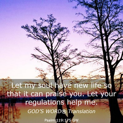Picture 03 - Psalm 119:175 GW - Let my soul have new life so that it can praise - Bible Verse Picture