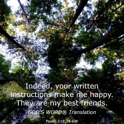 Picture 03 - Psalm 119:24 GW - Indeed, your written instructions make me happy. - Bible Verse Picture
