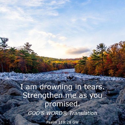 Picture 03 - Psalm 119:28 GW - I am drowning in tears. Strengthen me as you - Bible Verse Picture
